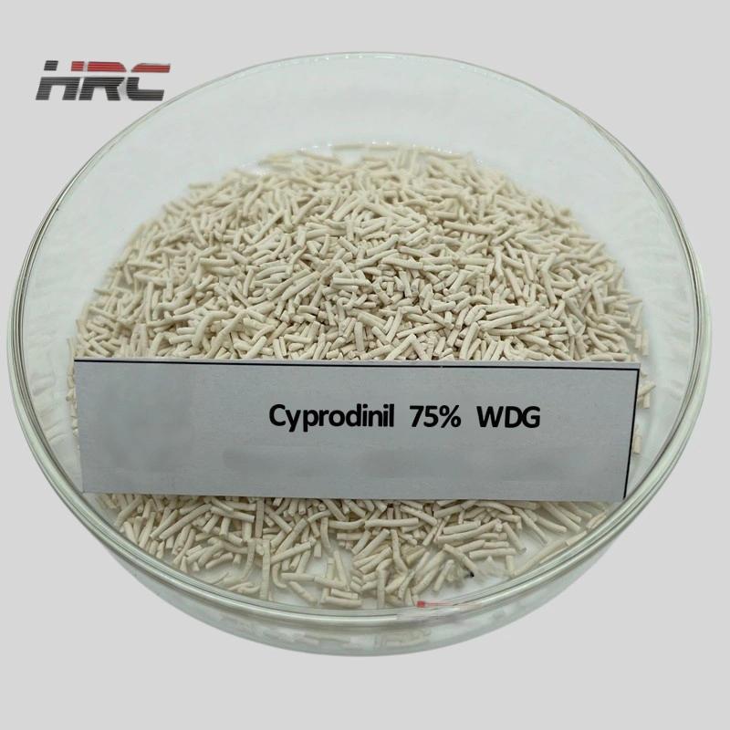 Cyprodinil 75% WDG manufacturers